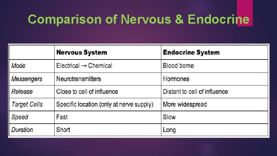 Comparison of Nervous & Endocrine 