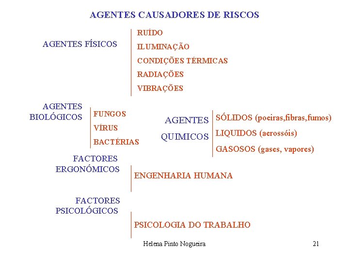 AGENTES CAUSADORES DE RISCOS RUÍDO AGENTES FÍSICOS ILUMINAÇÃO CONDIÇÕES TÉRMICAS RADIAÇÕES VIBRAÇÕES AGENTES BIOLÓGICOS