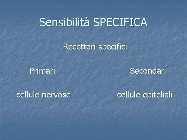 Sensibilità SPECIFICA Recettori specifici Primari cellule nervose Secondari cellule epiteliali 