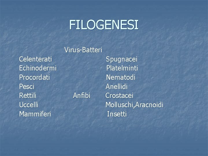 FILOGENESI Virus-Batteri Celenterati Echinodermi Procordati Pesci Rettili Uccelli Mammiferi Anfibi Spugnacei Platelminti Nematodi Anellidi