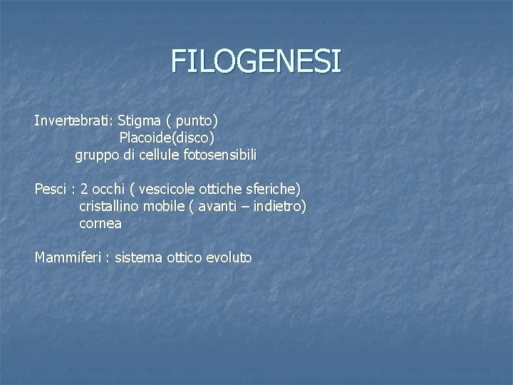 FILOGENESI Invertebrati: Stigma ( punto) Placoide(disco) gruppo di cellule fotosensibili Pesci : 2 occhi