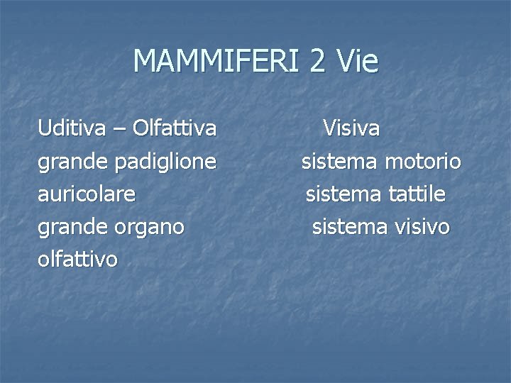 MAMMIFERI 2 Vie Uditiva – Olfattiva grande padiglione auricolare grande organo olfattivo Visiva sistema