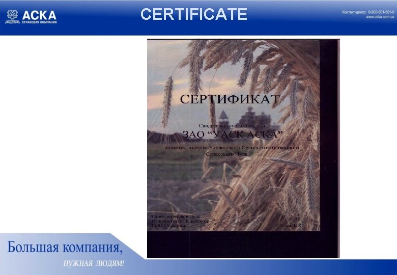 CERTIFICATE 