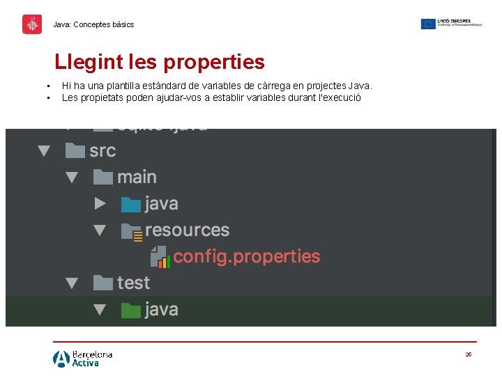 Java: Conceptes bàsics Llegint les properties • • Hi ha una plantilla estàndard de