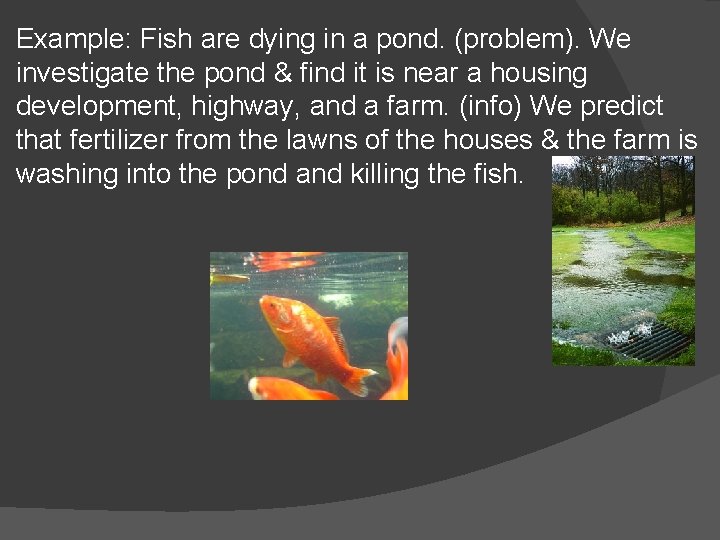 Example: Fish are dying in a pond. (problem). We investigate the pond & find