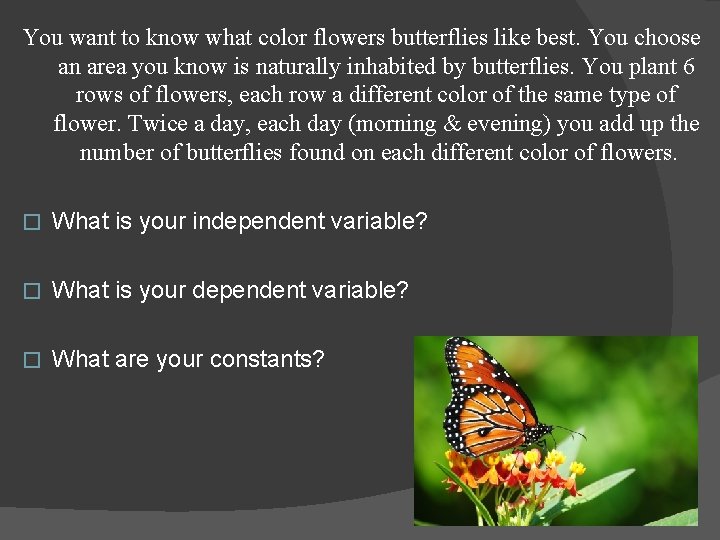 You want to know what color flowers butterflies like best. You choose an area