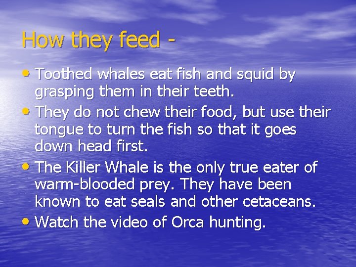How they feed • Toothed whales eat fish and squid by grasping them in