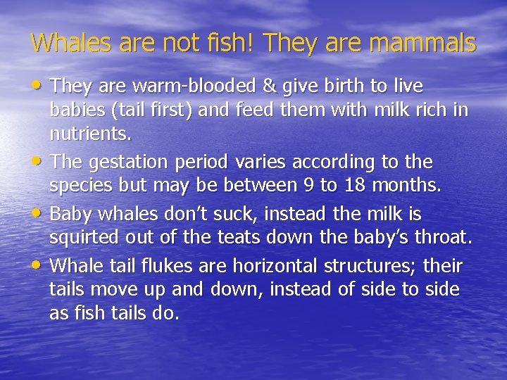 Whales are not fish! They are mammals • They are warm-blooded & give birth