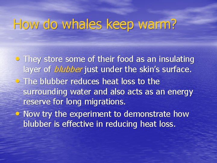 How do whales keep warm? • They store some of their food as an