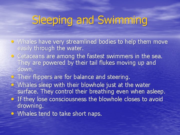 Sleeping and Swimming • Whales have very streamlined bodies to help them move •