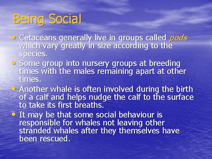 Being Social • Cetaceans generally live in groups called pods • • • which