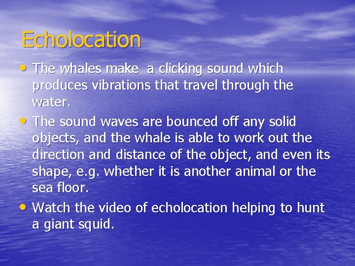 Echolocation • The whales make a clicking sound which • • produces vibrations that