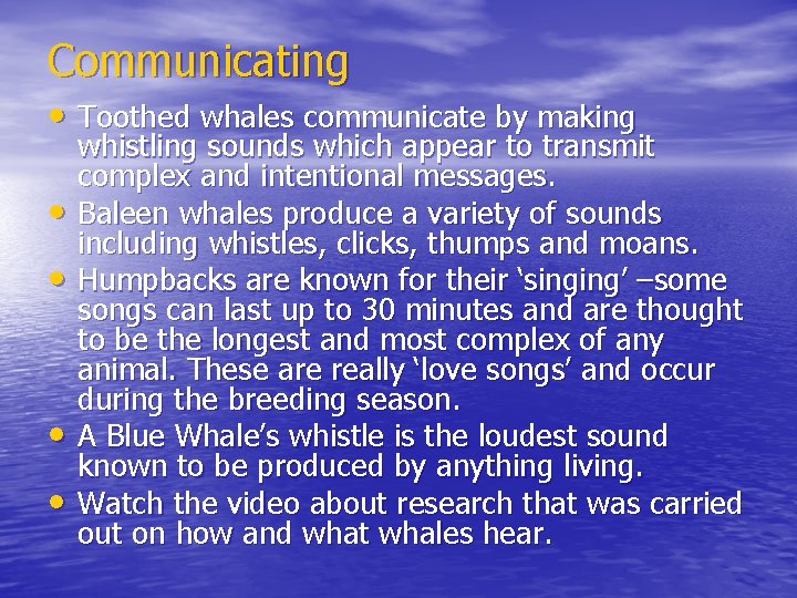 Communicating • Toothed whales communicate by making • • whistling sounds which appear to
