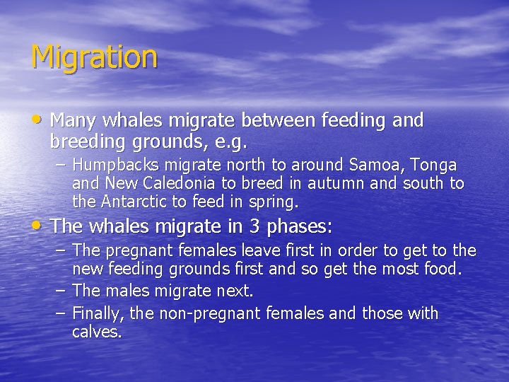 Migration • Many whales migrate between feeding and breeding grounds, e. g. – Humpbacks