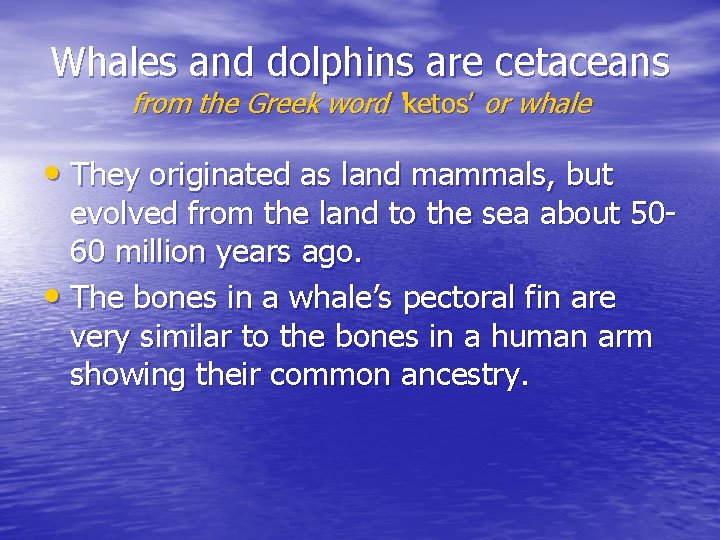 Whales and dolphins are cetaceans from the Greek word ‘ketos’ or whale • They