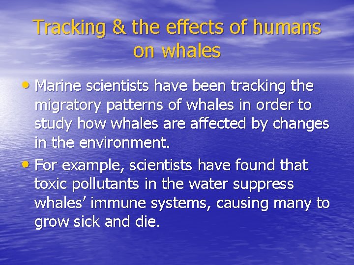 Tracking & the effects of humans on whales • Marine scientists have been tracking