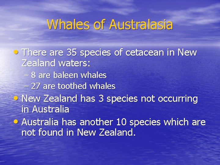Whales of Australasia • There are 35 species of cetacean in New Zealand waters: