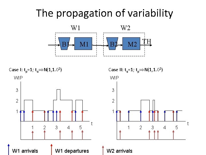 The propagation of variability W 1 B 1 W 2 M 1 B 2 The propagation of variability W 1 B 1 W 2 M 1 B 2