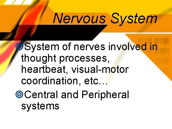 Nervous System of nerves involved in thought processes, heartbeat, visual-motor coordination, etc… Central and