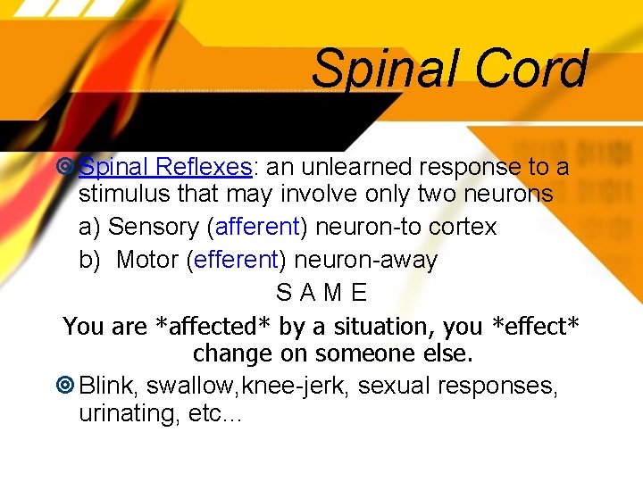 Spinal Cord Spinal Reflexes: an unlearned response to a stimulus that may involve only