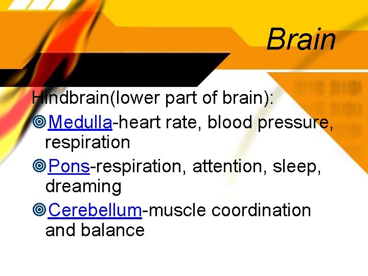 Brain Hindbrain(lower part of brain): Medulla-heart rate, blood pressure, respiration Pons-respiration, attention, sleep, dreaming