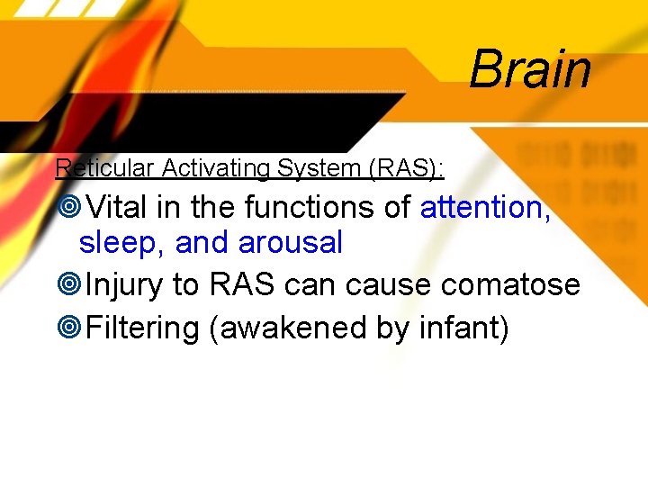 Brain Reticular Activating System (RAS): Vital in the functions of attention, sleep, and arousal