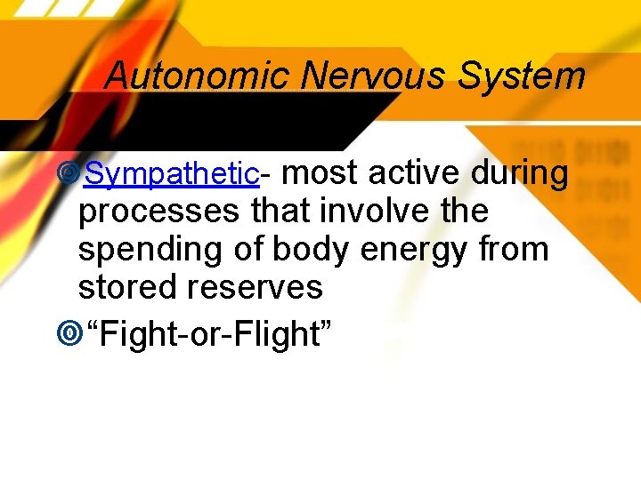 Autonomic Nervous System Sympathetic- most active during processes that involve the spending of body