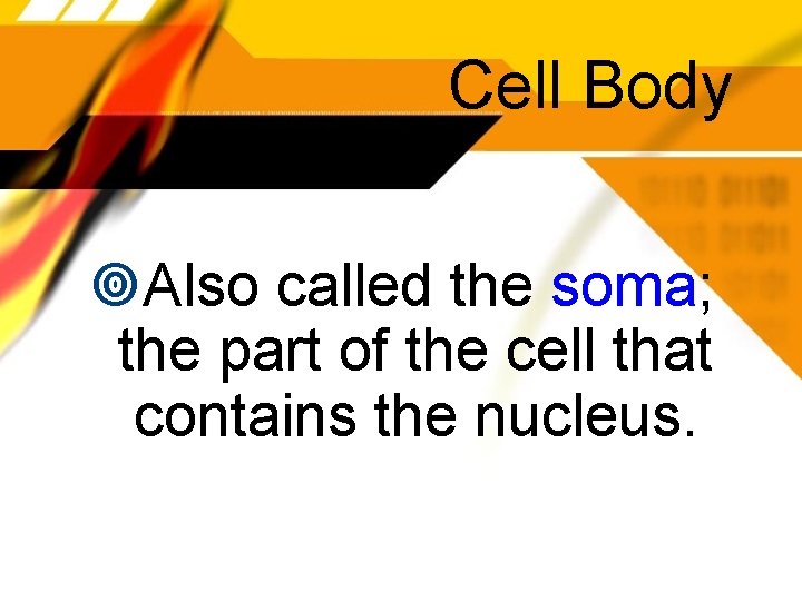 Cell Body Also called the soma; the part of the cell that contains the