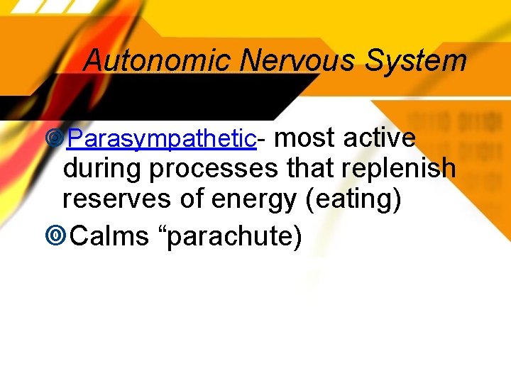Autonomic Nervous System Parasympathetic- most active during processes that replenish reserves of energy (eating)