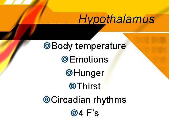 Hypothalamus Body temperature Emotions Hunger Thirst Circadian rhythms 4 F’s 