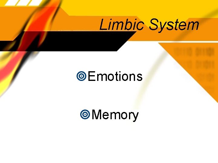 Limbic System Emotions Memory 