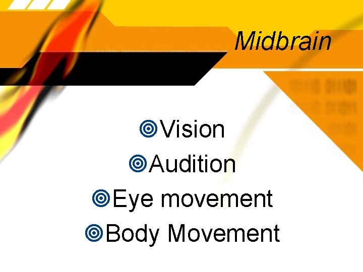 Midbrain Vision Audition Eye movement Body Movement 