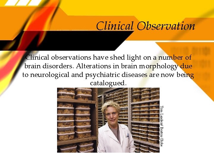 Clinical Observation Clinical observations have shed light on a number of brain disorders. Alterations