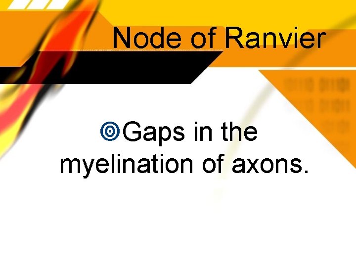 Node of Ranvier Gaps in the myelination of axons. 