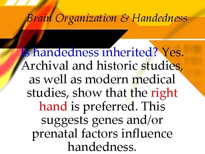 Brain Organization & Handedness Is handedness inherited? Yes. Archival and historic studies, as well