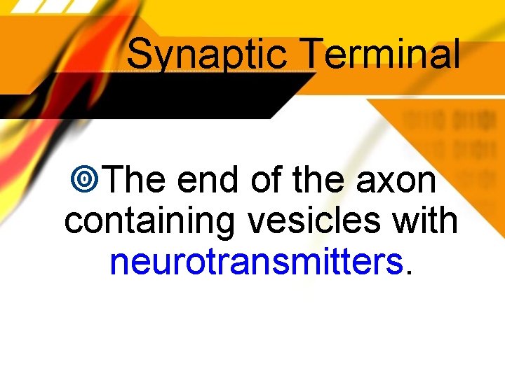 Synaptic Terminal The end of the axon containing vesicles with neurotransmitters. 