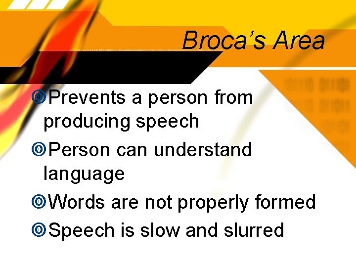 Broca’s Area Prevents a person from producing speech Person can understand language Words are