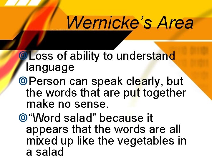Wernicke’s Area Loss of ability to understand language Person can speak clearly, but the