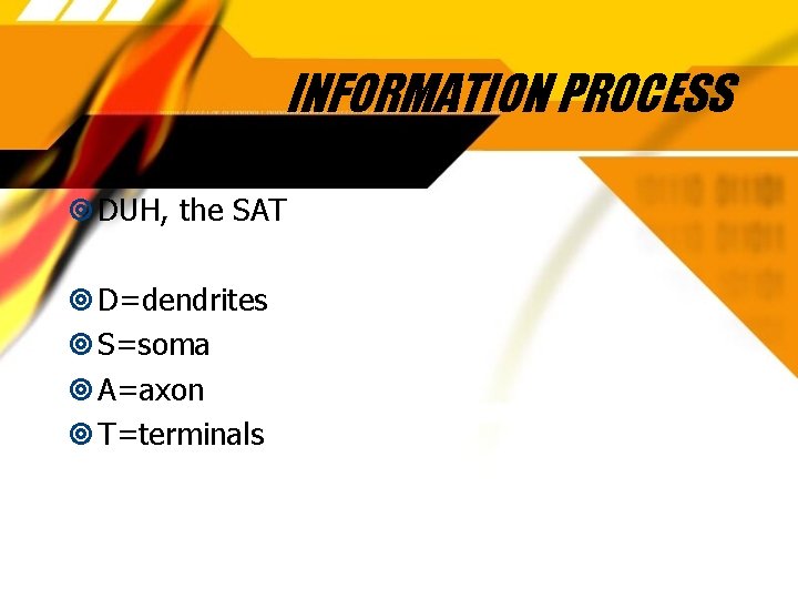 INFORMATION PROCESS DUH, the SAT D=dendrites S=soma A=axon T=terminals 