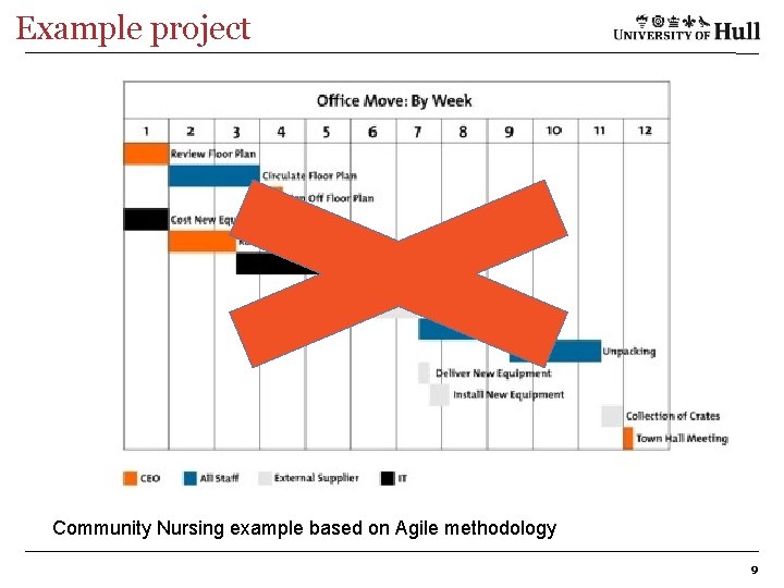 Example project Community Nursing example based on Agile methodology 9 