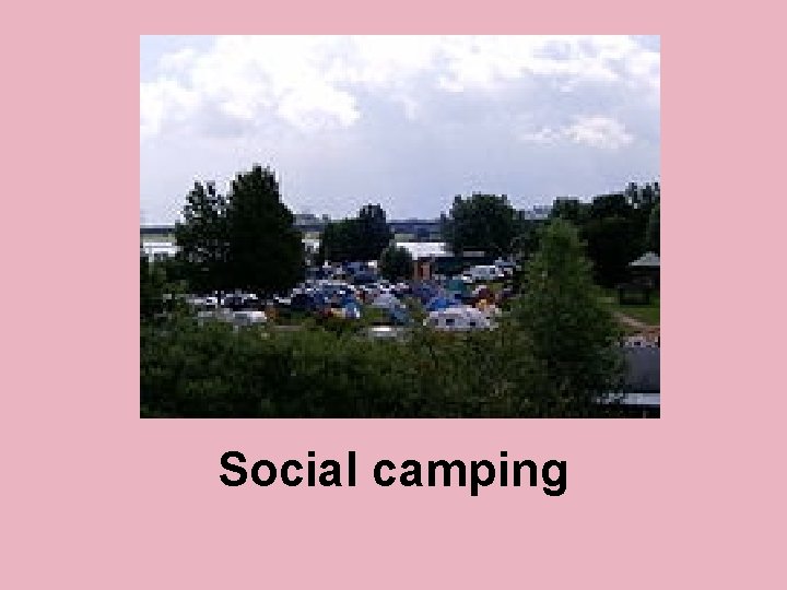 Social camping 