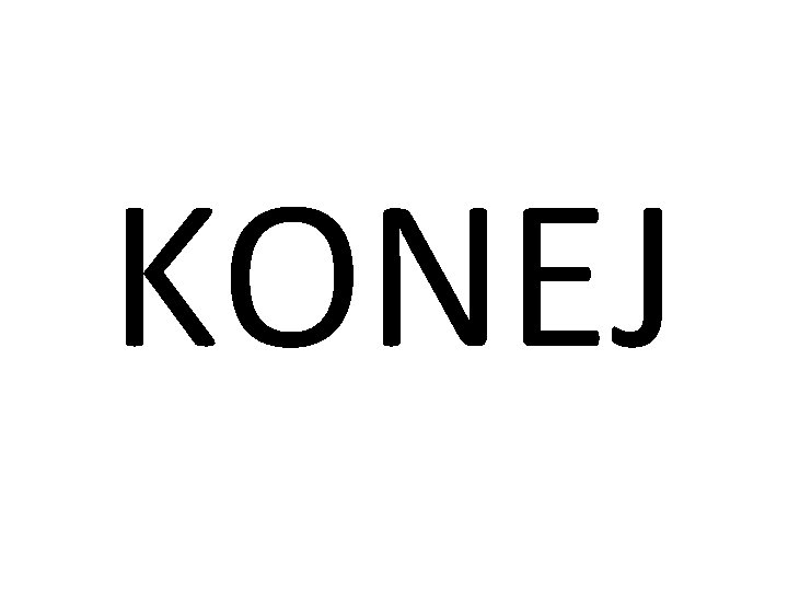 KONEJ 