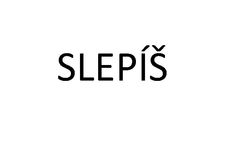 SLEPÍŠ 