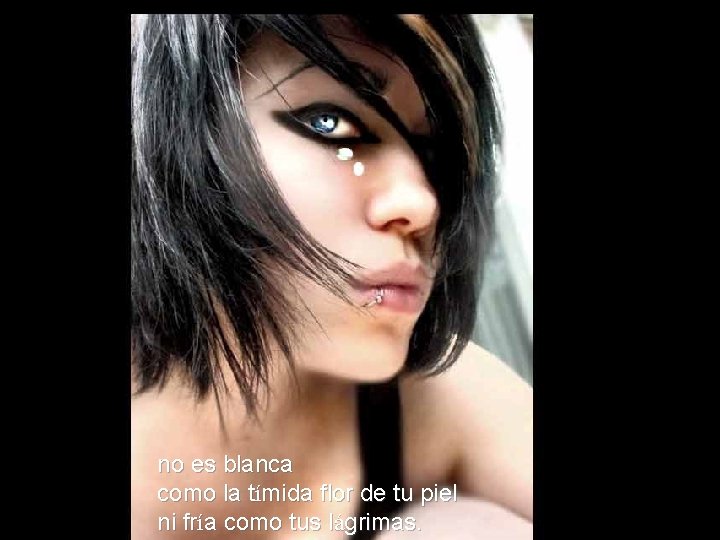no es blanca como la tímida flor de tu piel ni fría como tus no es blanca como la tímida flor de tu piel ni fría como tus
