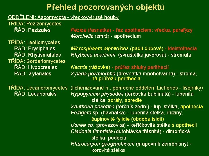  Přehled pozorovaných objektů ODDĚLENÍ: Ascomycota - vřeckovýtrusé houby TŘÍDA: Pezizomycetes ŘÁD: Pezizales Peziza