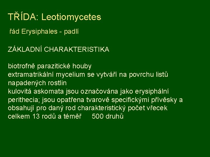 TŘÍDA: Leotiomycetes řád Erysiphales - padlí ZÁKLADNÍ CHARAKTERISTIKA biotrofně parazitické houby extramatrikální mycelium se