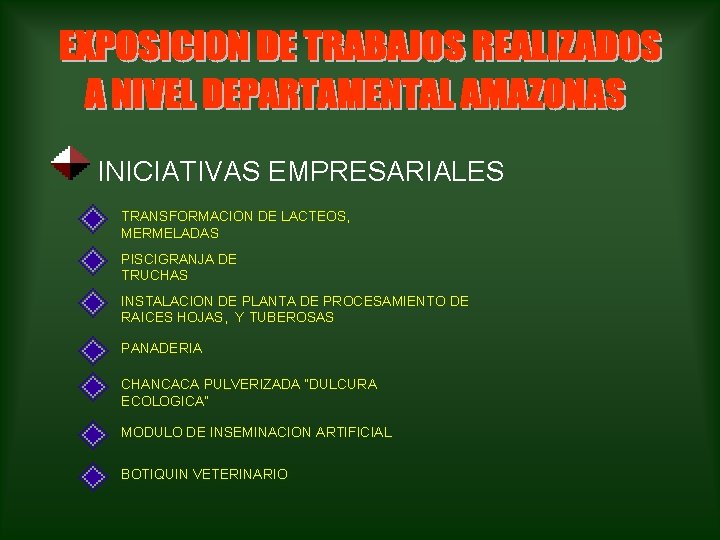 INICIATIVAS EMPRESARIALES TRANSFORMACION DE LACTEOS, MERMELADAS PISCIGRANJA DE TRUCHAS INSTALACION DE PLANTA DE PROCESAMIENTO