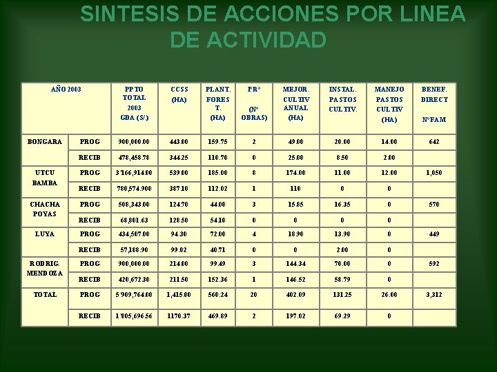 SINTESIS DE ACCIONES POR LINEA DE ACTIVIDAD AÑO 2003 BONGARA UTCU BAMBA CHACHA POYAS