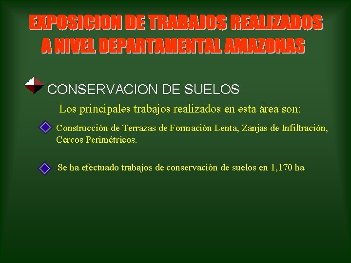 CONSERVACION DE SUELOS Los principales trabajos realizados en esta área son: Construcción de Terrazas