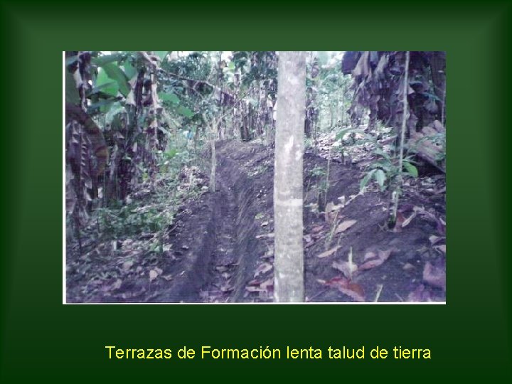 Terrazas de Formación lenta talud de tierra 